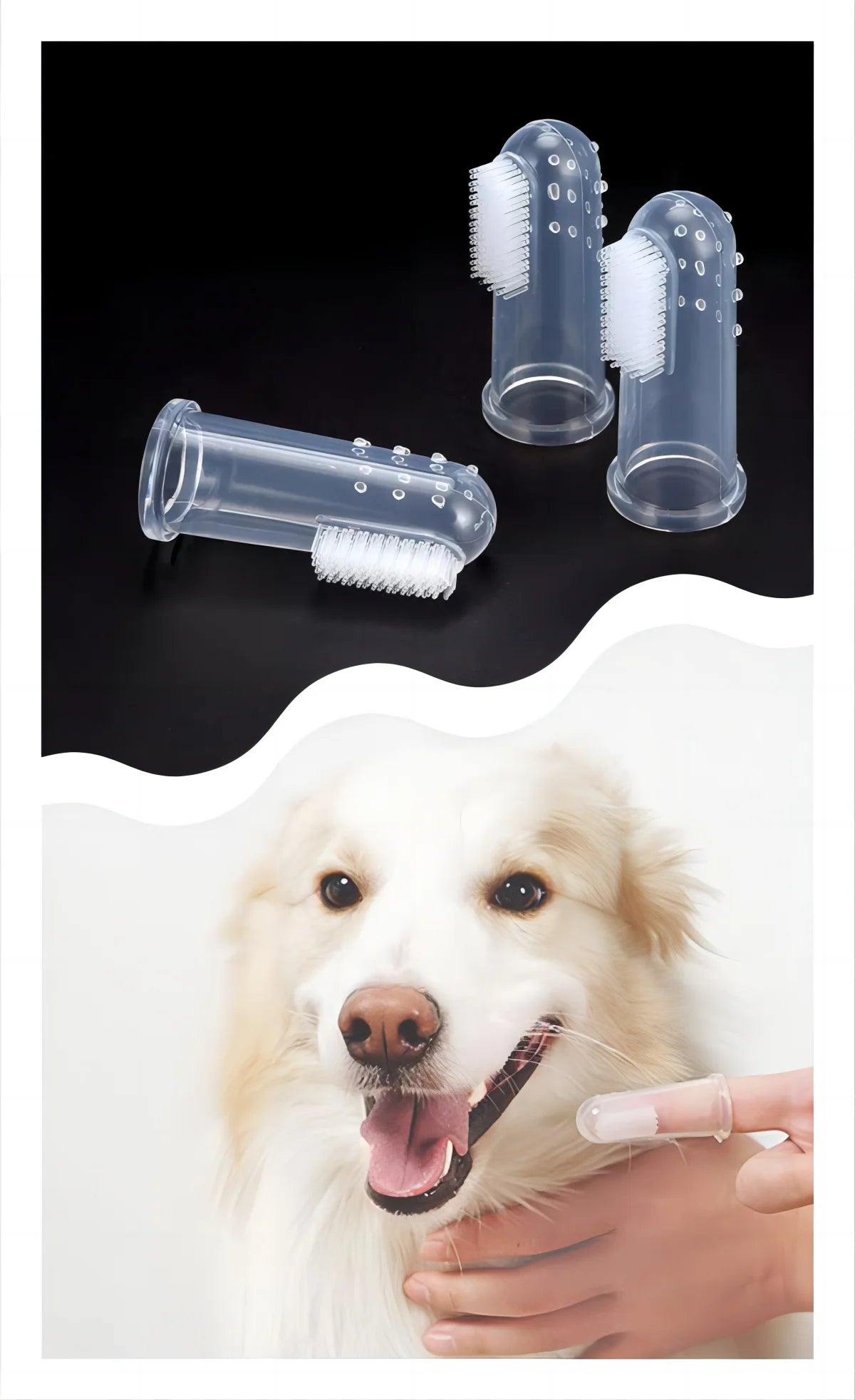 Brosse à dents pour animaux de compagnie