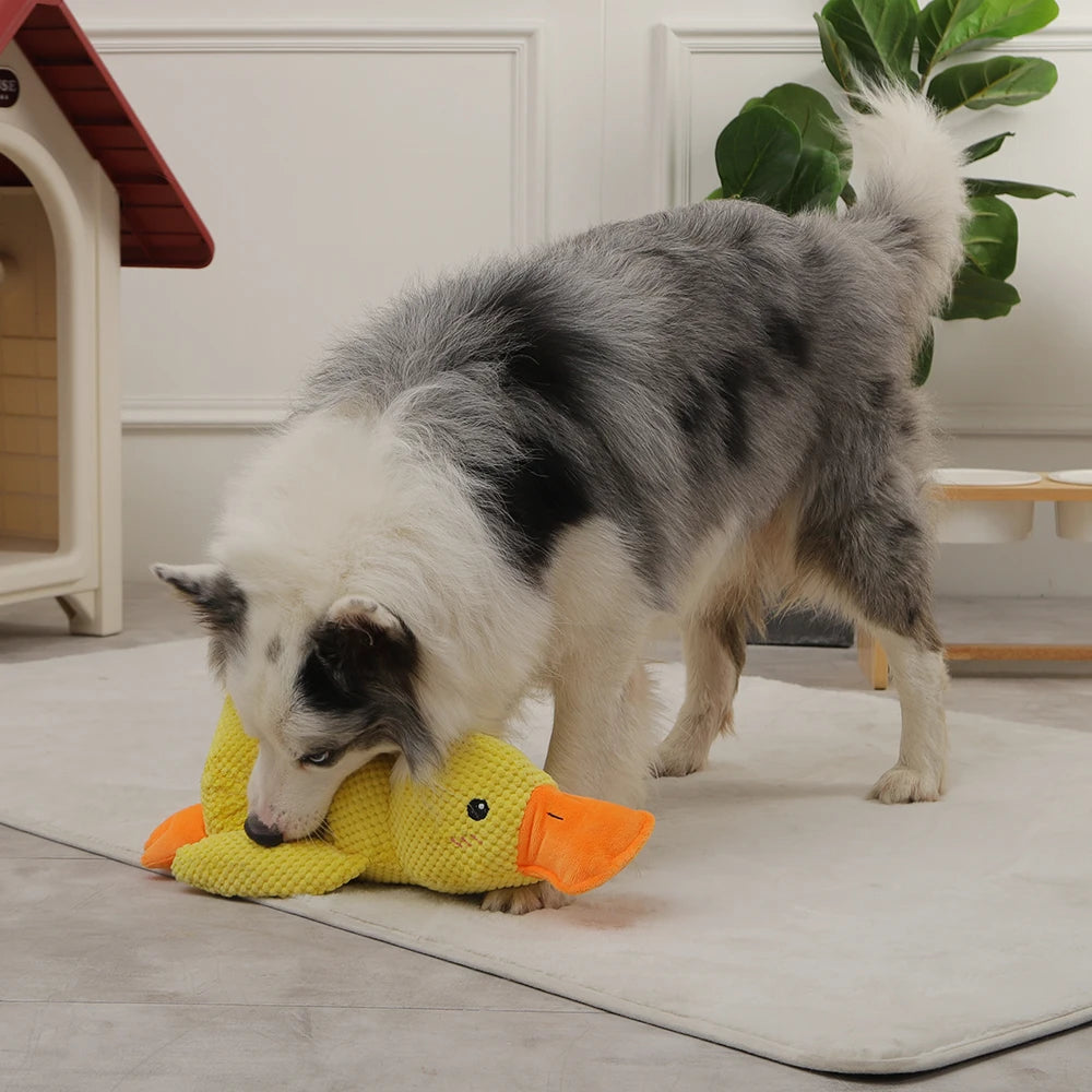 SnuggleQuack Dog Toy