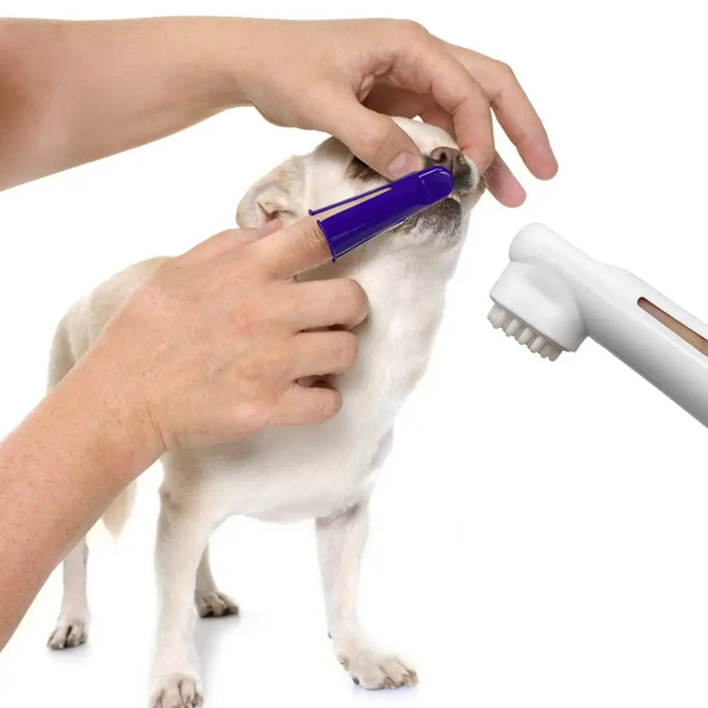 Kit de cuidado dental para mascotas HappySmiles