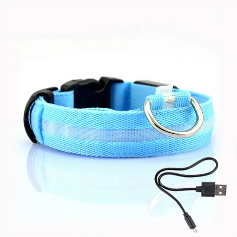 Collar LED para perros