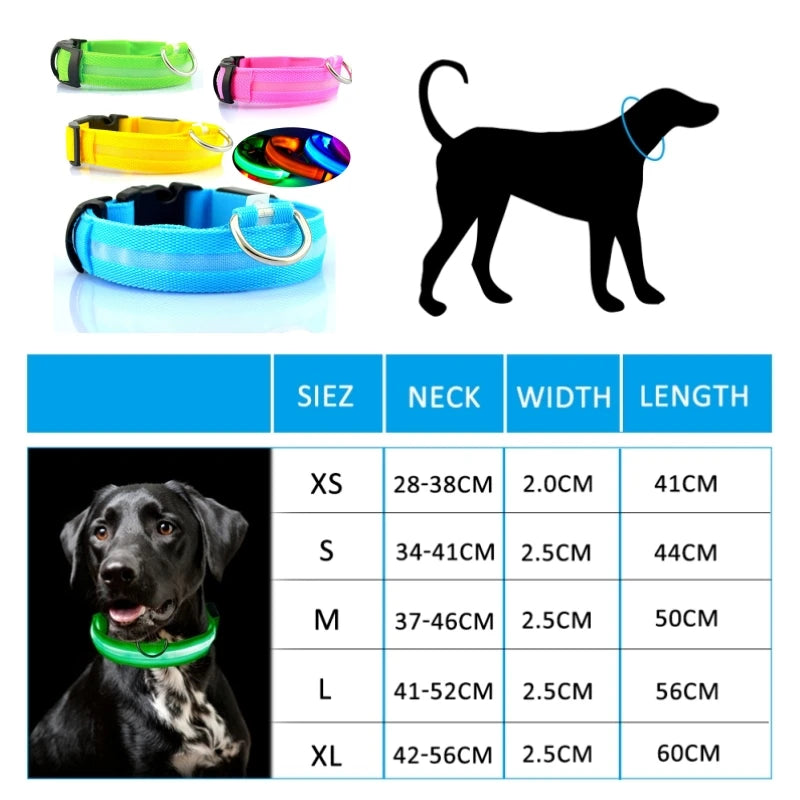 Collar LED para perros