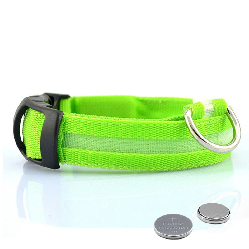 Collar LED para perros