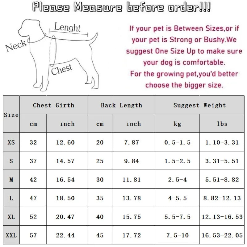 Pet accessories clothes