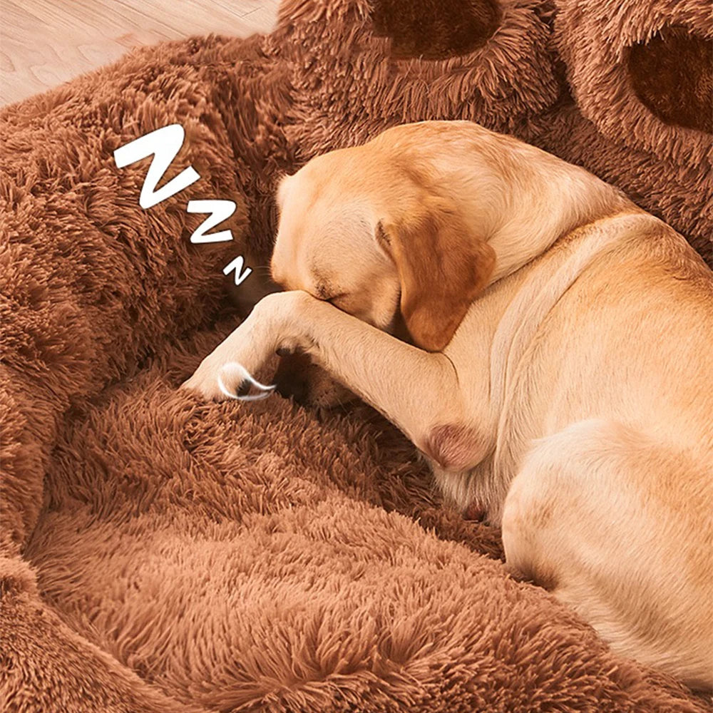 Cama para perros: comodidad y conveniencia para tu mascota | BeiYu Pet