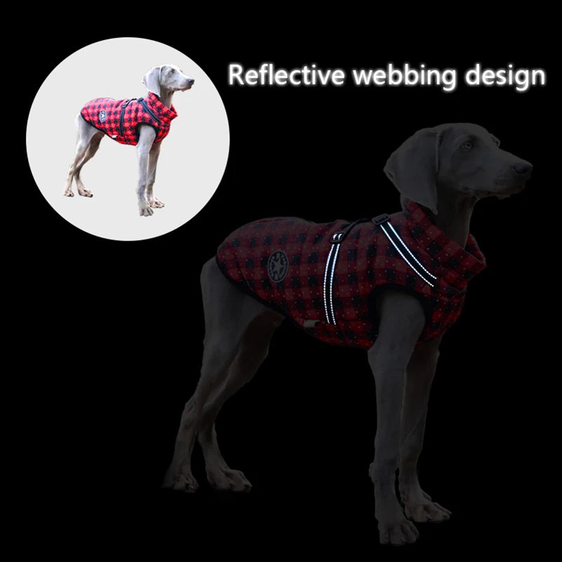 Chaqueta de ropa para perros VIP