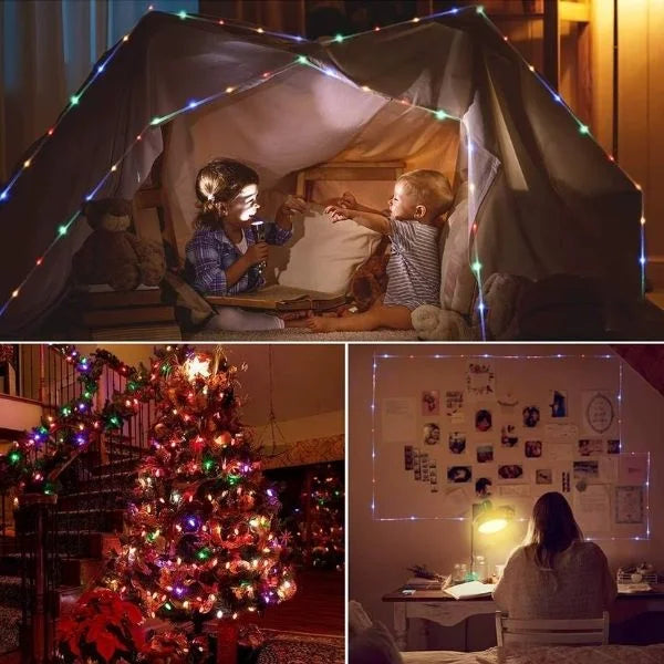 BrightLine Garden Decor 06