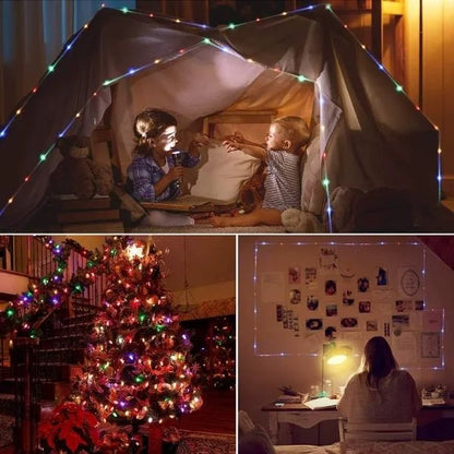 BrightLine Garden Decor 06