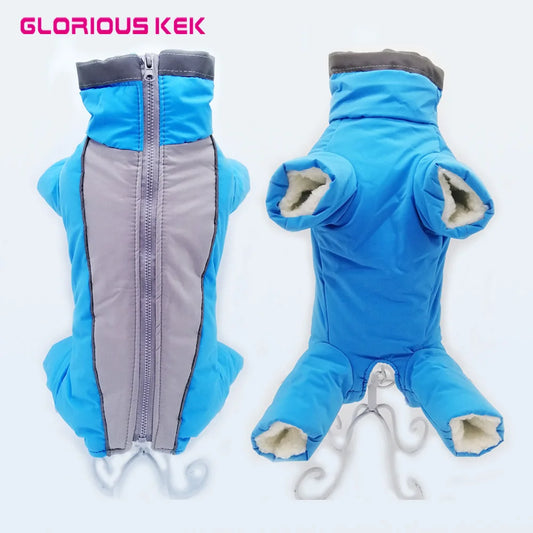 Manteau VIP pour chiens 