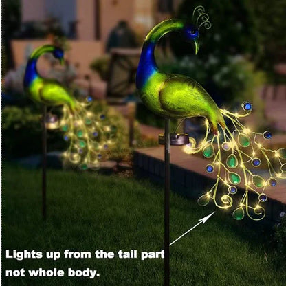 Lumi Garden Decor 04