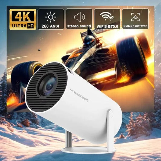 ProView Projector Screen 01