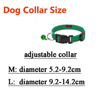 Collier anti-tiques 