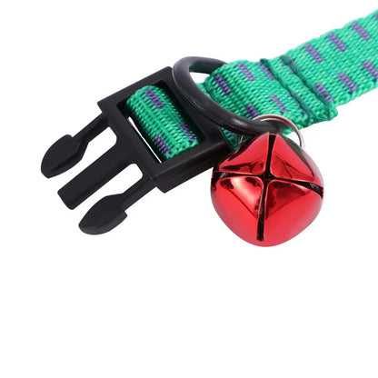 Collier anti-tiques 