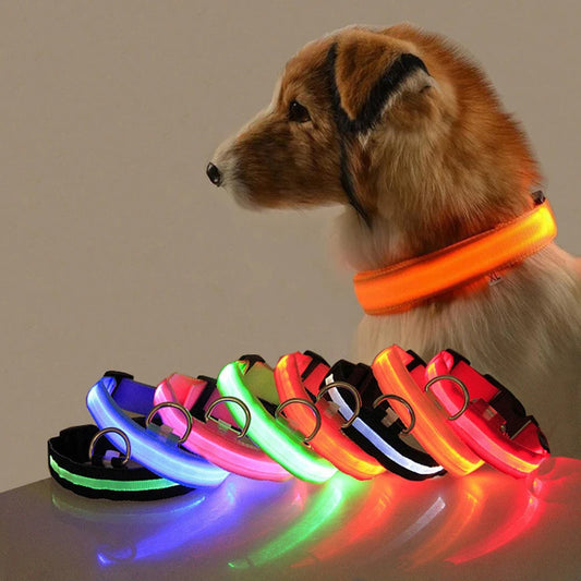 Collar LED para perros 