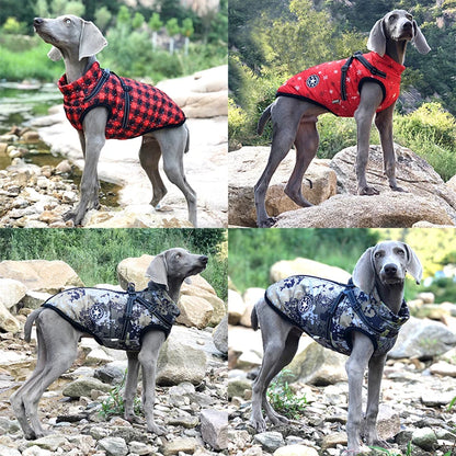 Chaqueta de ropa para perros VIP