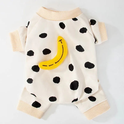 Pet accessories clothes