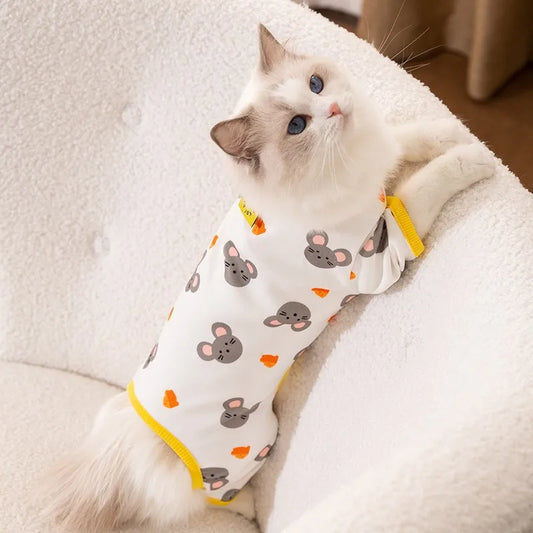 Ropa fina para perros 